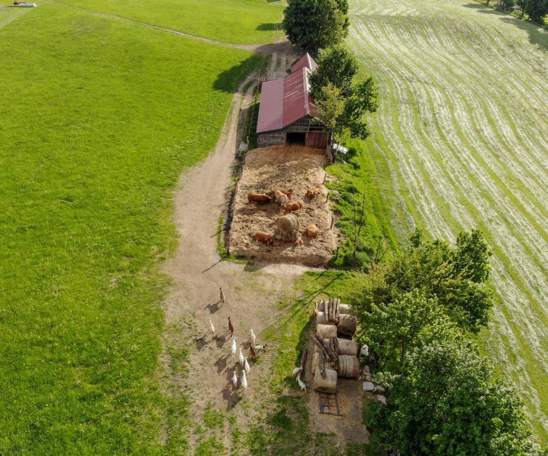 Dylewianka Villa Wysoka Wieś Exteriör bild