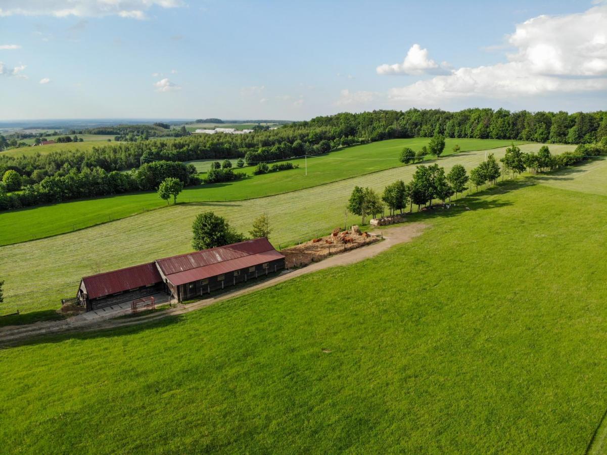 Dylewianka Villa Wysoka Wieś Exteriör bild