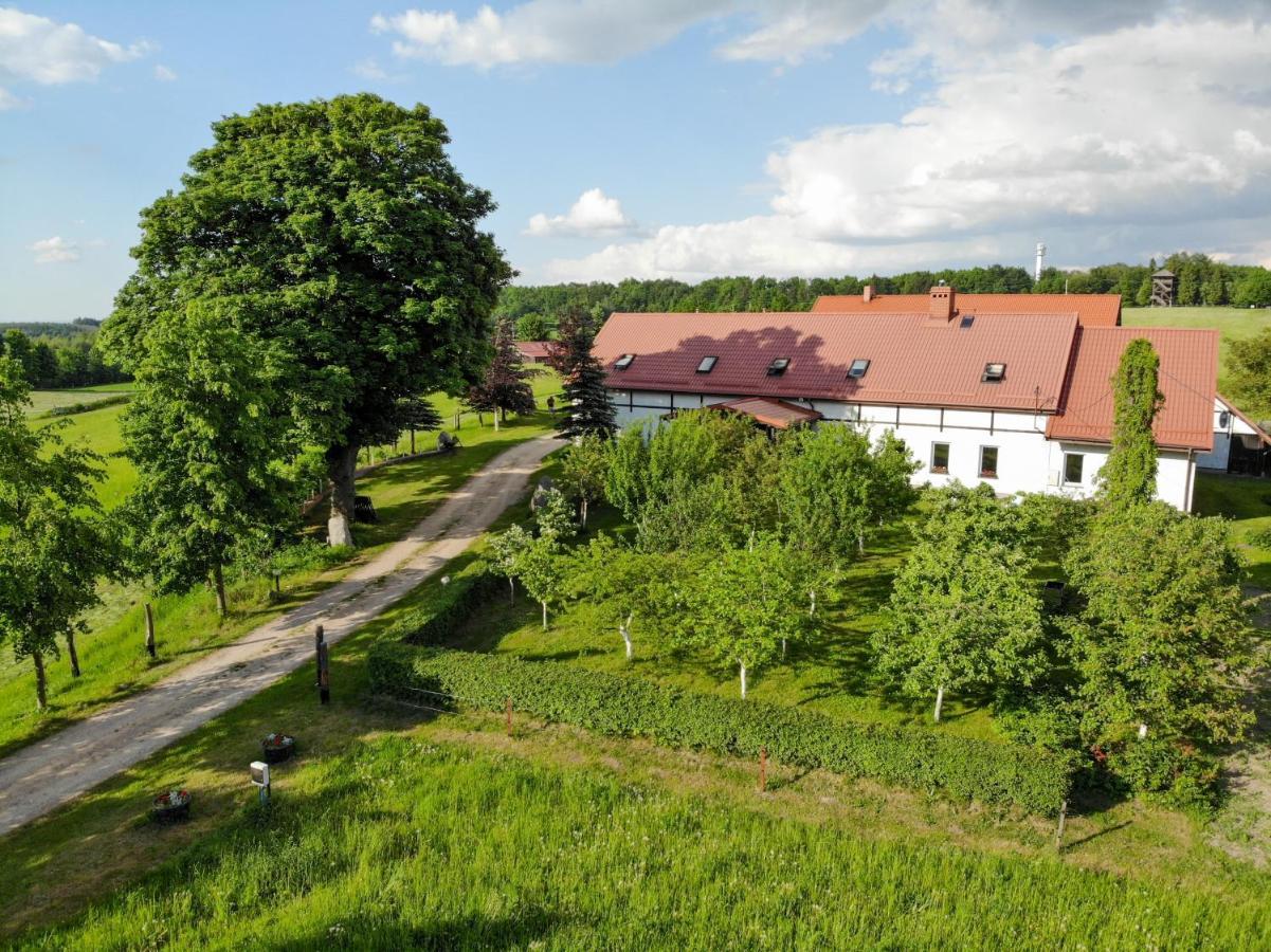 Dylewianka Villa Wysoka Wieś Exteriör bild