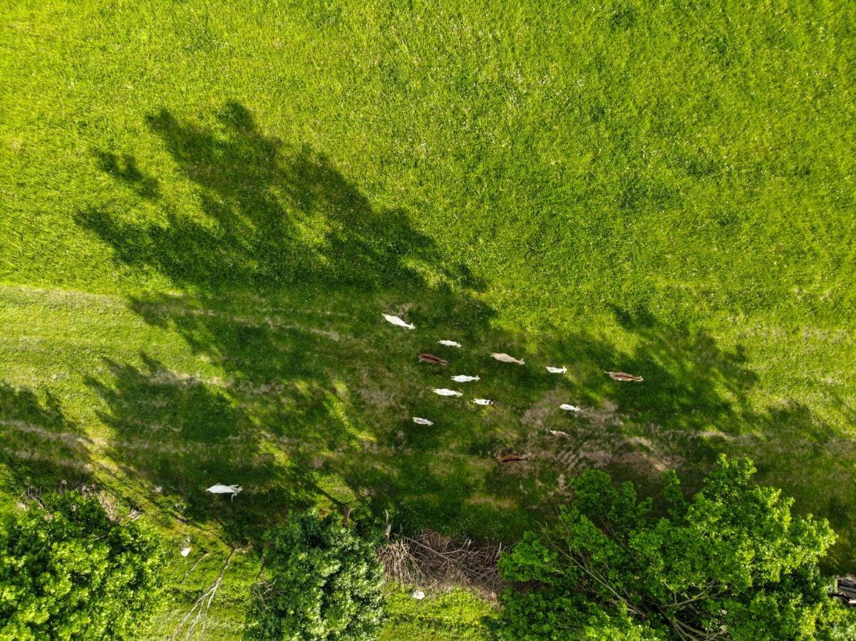 Dylewianka Villa Wysoka Wieś Exteriör bild