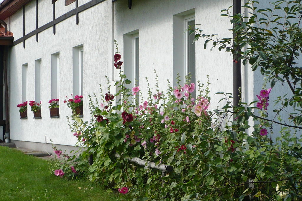 Dylewianka Villa Wysoka Wieś Exteriör bild